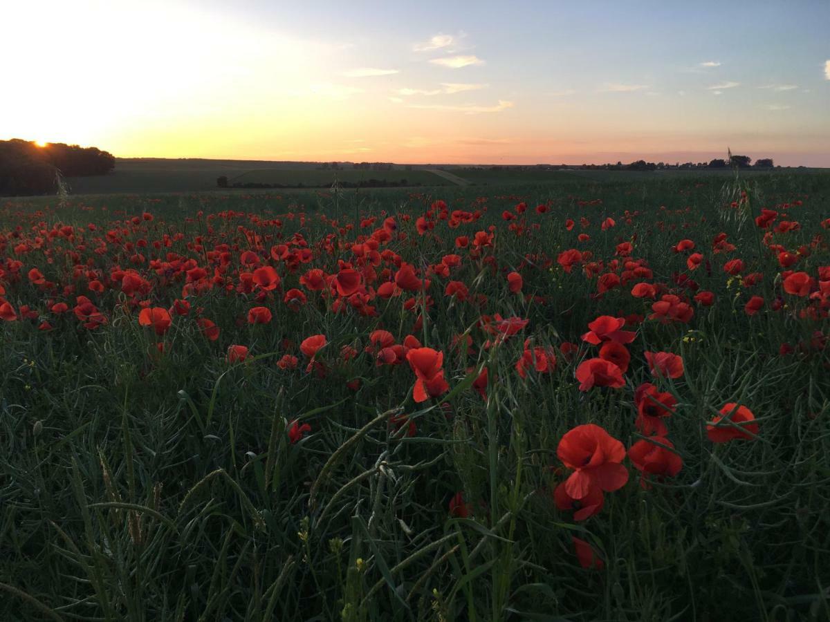 Hardecourt-aux-BoisDupres House, Chavasse Farm, Somme Battlefields别墅 外观 照片